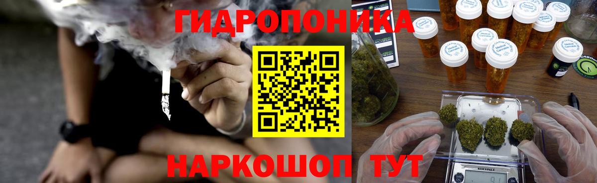 Конопля Bruce Banner Сыктывкар